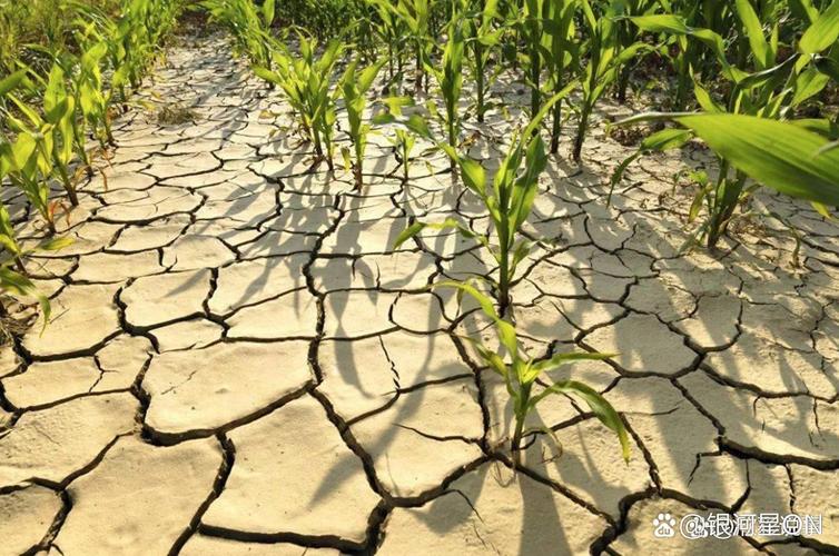 甘肃多地发生旱情,甘肃多地发生旱情的原因