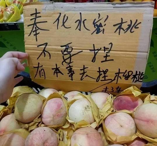 新门内部资料免费提供和这几种水果买就后悔与买哪些水果