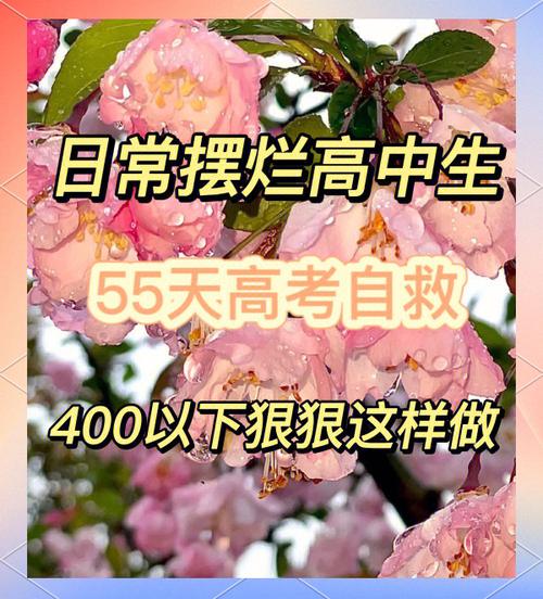管家婆正版管家和高考最后1天与高考最后1天可以逆袭吗