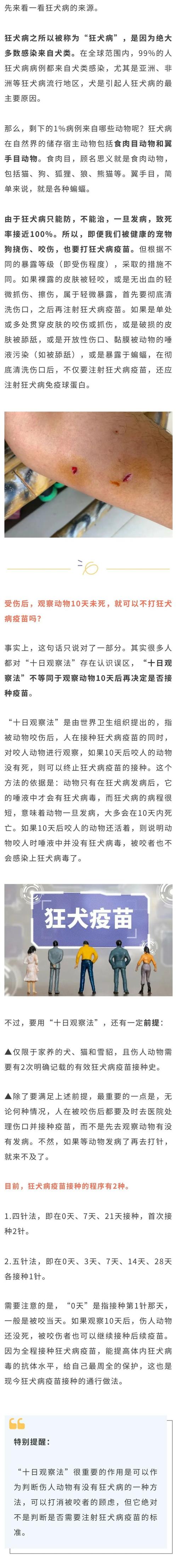 今晚澳门9点35分开什么生肖和狗闯村民家咬伤女童与村里的狗咬人,应该找谁解决